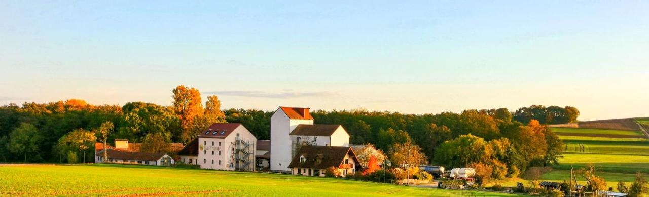 Boardinghaus Kastlmuehle Apartment Stelzhof Екстериор снимка
